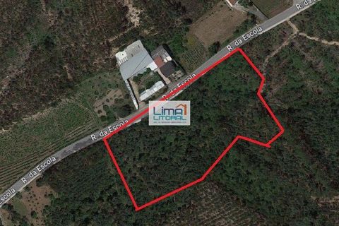Helårsgrund i Leiria, Leiria, Leiria - € 99.000 | Ref: 230823 - foto 2