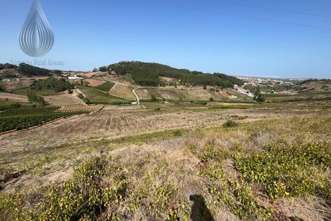 Helårsgrund i Torres Vedras, Lisbon, Torres Vedras - € 160.000 | Ref: SÒL_55 - foto 3
