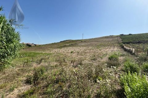 Helårsgrund i Torres Vedras, Lisbon, Torres Vedras - € 160.000 | Ref: SÒL_55 - foto 1