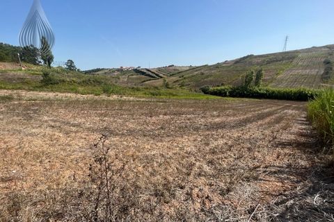 Helårsgrund i Torres Vedras, Lisbon, Torres Vedras - € 160.000 | Ref: SÒL_55 - foto 7