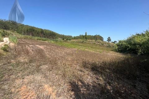 Helårsgrund i Torres Vedras, Lisbon, Torres Vedras - € 160.000 | Ref: SÒL_55 - foto 8