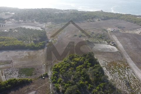 Helårsgrund i Odeceixe, Faro, Odeceixe - € 3.000.000 | Ref: MS096 - foto 3