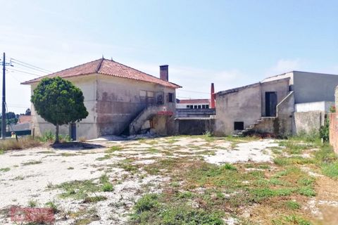 Helårsgrund i Alcobaca, Leiria, Alcobaca - € 375.000 | Ref: TPH229-10 - foto 6
