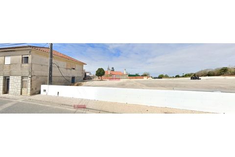 Helårsgrund i Alcobaca, Leiria, Alcobaca - € 375.000 | Ref: TPH229-10 - foto 11