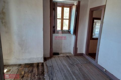 Villa i Ourem, Santarem, Ourem - € 128.000 | Ref: TPH221-58 - foto 10