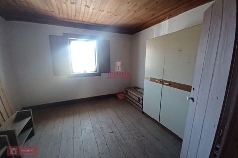 Villa i Ourem, Santarem, Ourem - € 128.000 | Ref: TPH221-58 - foto 12