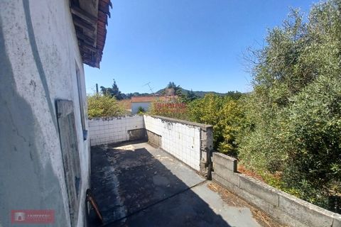 Villa i Ourem, Santarem, Ourem - € 128.000 | Ref: TPH221-58 - foto 13