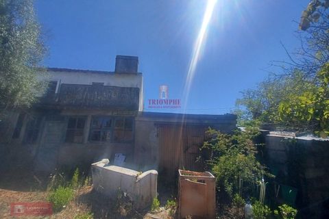 Villa i Ourem, Santarem, Ourem - € 128.000 | Ref: TPH221-58 - foto 14