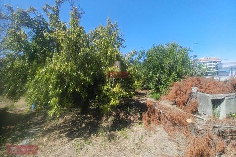 Villa i Ourem, Santarem, Ourem - € 128.000 | Ref: TPH221-58 - foto 15