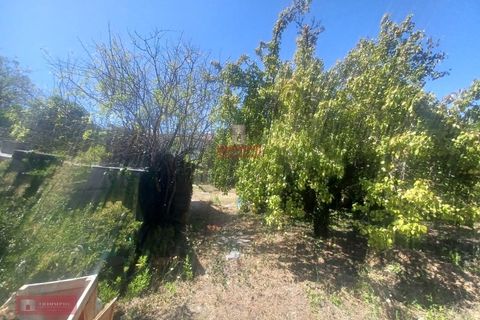 Villa i Ourem, Santarem, Ourem - € 128.000 | Ref: TPH221-58 - foto 16