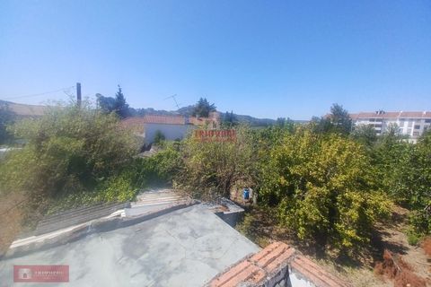 Villa i Ourem, Santarem, Ourem - € 128.000 | Ref: TPH221-58 - foto 18