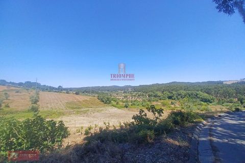 Villa i Ourem, Santarem, Ourem - € 128.000 | Ref: TPH221-58 - foto 20