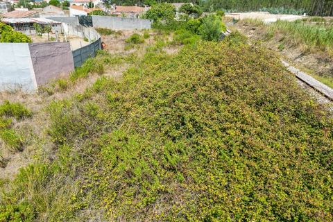 Helårsgrund i Nazare, Leiria, Nazare - € 85.000 | Ref: 091/2023.AF - foto 13