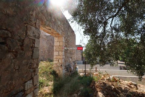 Farm hus i Cisternino, Brindisi, Cisternino - € 290.000 | Ref: D110 - foto 4