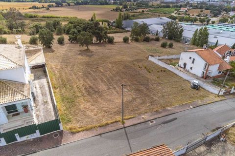 Terra a Riachos, Santarem, Riachos - € 43.000 | Ref: C0269-01609 - foto 2