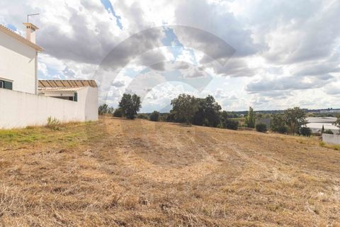 Terra a Riachos, Santarem, Riachos - € 43.000 | Ref: C0269-01609 - foto 8