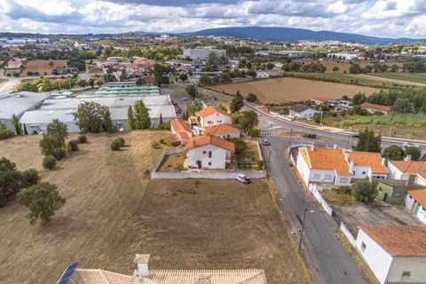 Terra a Riachos, Santarem, Riachos - € 43.000 | Ref: C0269-01609 - foto 5