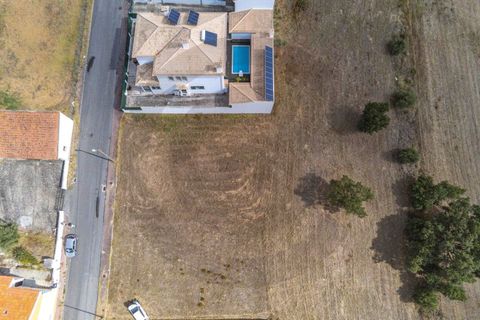 Terra a Riachos, Santarem, Riachos - € 43.000 | Ref: C0269-01609 - foto 3
