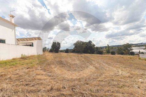 Terra a Riachos, Santarem, Riachos - € 43.000 | Ref: C0269-01609 - foto 9