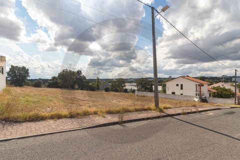 Terra a Riachos, Santarem, Riachos - € 43.000 | Ref: C0269-01609 - foto 10