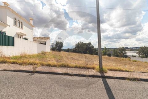 Terra a Riachos, Santarem, Riachos - € 43.000 | Ref: C0269-01609 - foto 6