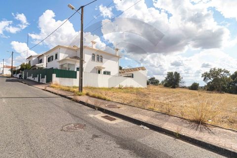 Terra a Riachos, Santarem, Riachos - € 43.000 | Ref: C0269-01609 - foto 7