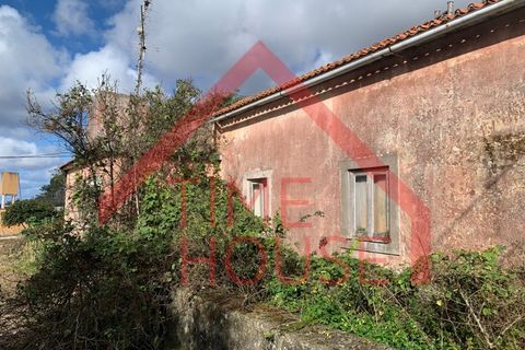 Farm i Gaeiras, Leiria, Gaeiras - € 1.200.000 | Ref: QUIN_TH-MA104 - foto 2