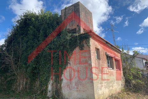 Farm i Gaeiras, Leiria, Gaeiras - € 1.200.000 | Ref: QUIN_TH-MA104 - foto 3