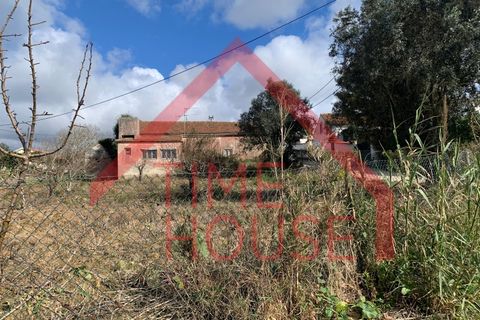 Farm i Gaeiras, Leiria, Gaeiras - € 1.200.000 | Ref: QUIN_TH-MA104 - foto 4