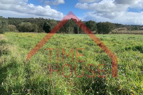 Farm i Gaeiras, Leiria, Gaeiras - € 1.200.000 | Ref: QUIN_TH-MA104 - foto 5