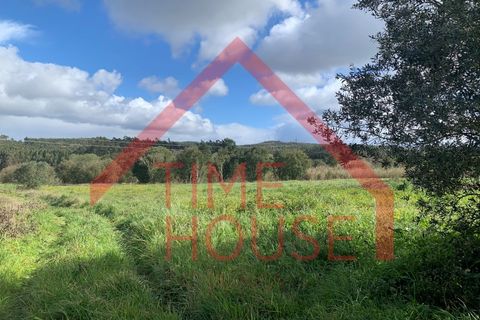 Farm i Gaeiras, Leiria, Gaeiras - € 1.200.000 | Ref: QUIN_TH-MA104 - foto 6