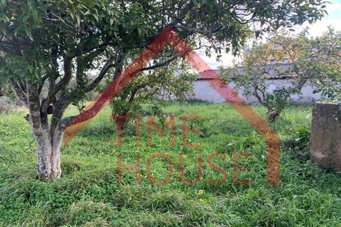 Farm i Gaeiras, Leiria, Gaeiras - € 1.200.000 | Ref: QUIN_TH-MA104 - foto 7