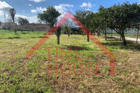 Farm i Gaeiras, Leiria, Gaeiras - € 1.200.000 | Ref: QUIN_TH-MA104 - foto 8