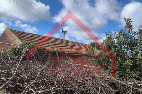 Farm i Gaeiras, Leiria, Gaeiras - € 1.200.000 | Ref: QUIN_TH-MA104 - foto 9
