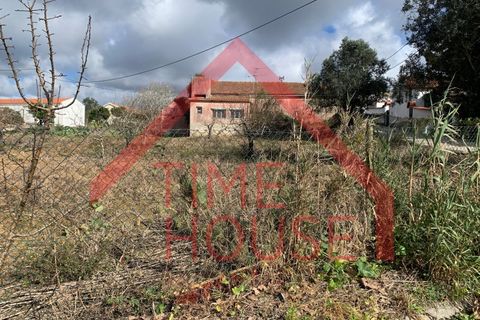 Farm i Gaeiras, Leiria, Gaeiras - € 1.200.000 | Ref: QUIN_TH-MA104 - foto 10