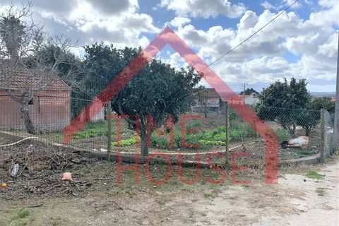 Farm i Gaeiras, Leiria, Gaeiras - € 1.200.000 | Ref: QUIN_TH-MA104 - foto 11