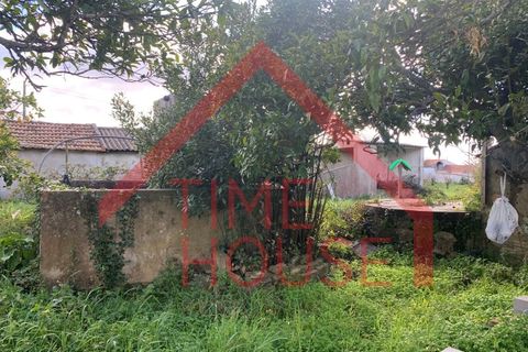 Farm i Gaeiras, Leiria, Gaeiras - € 1.200.000 | Ref: QUIN_TH-MA104 - foto 12