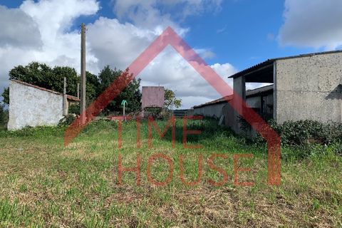 Farm i Gaeiras, Leiria, Gaeiras - € 1.200.000 | Ref: QUIN_TH-MA104 - foto 13