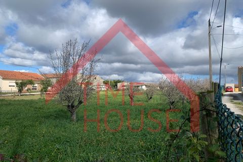 Farm i Gaeiras, Leiria, Gaeiras - € 1.200.000 | Ref: QUIN_TH-MA104 - foto 14