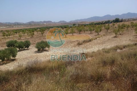 Tomt i Mazarron, Murcia, Mazarron - € 65 000 | Ref: 001215/9522 - foto 2