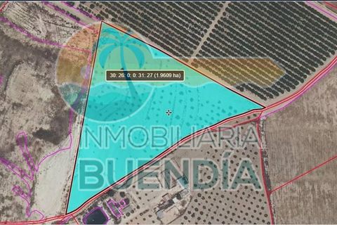 Tomt i Mazarron, Murcia, Mazarron - € 65 000 | Ref: 001215/9522 - foto 7