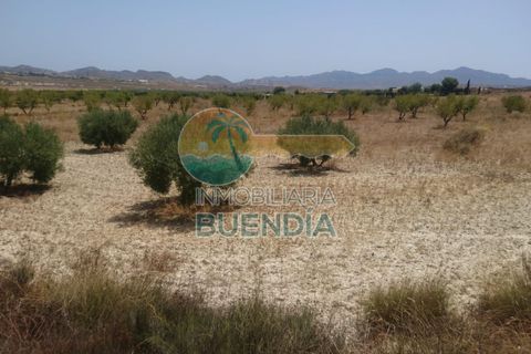 Tomt i Mazarron, Murcia, Mazarron - € 65 000 | Ref: 001215/9522 - foto 8