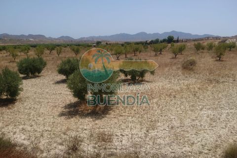 Tomt i Mazarron, Murcia, Mazarron - € 65 000 | Ref: 001215/9522 - foto 9
