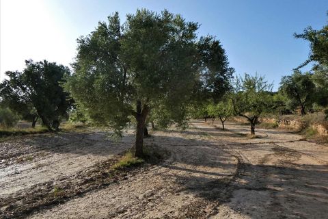Finca i Maella, Zaragoza, Maella - € 34.000 | Ref: 0935 - foto 22