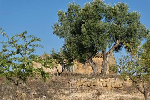 Finca i Maella, Zaragoza, Maella - € 34.000 | Ref: 0935 - foto 26