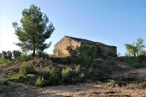 Finca i Maella, Zaragoza, Maella - € 34.000 | Ref: 0935 - foto 12