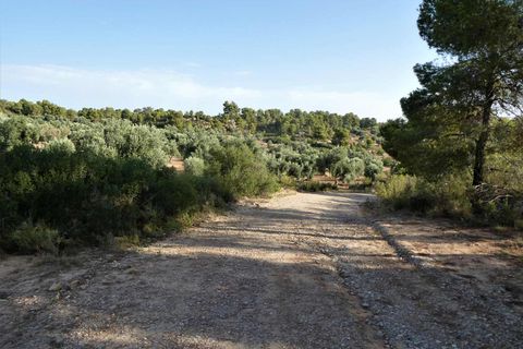 Finca i Maella, Zaragoza, Maella - € 34.000 | Ref: 0935 - foto 13