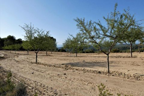 Finca i Maella, Zaragoza, Maella - € 34.000 | Ref: 0935 - foto 33