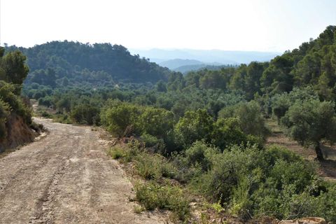Finca i Maella, Zaragoza, Maella - € 34.000 | Ref: 0935 - foto 15