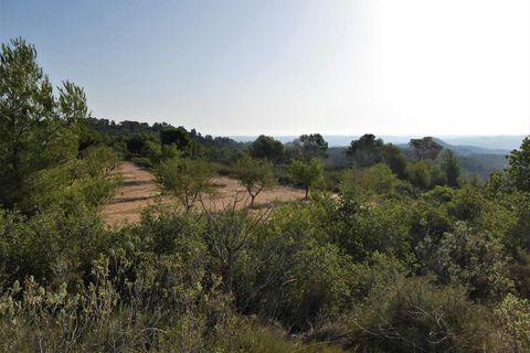 Finca i Maella, Zaragoza, Maella - € 34.000 | Ref: 0935 - foto 34